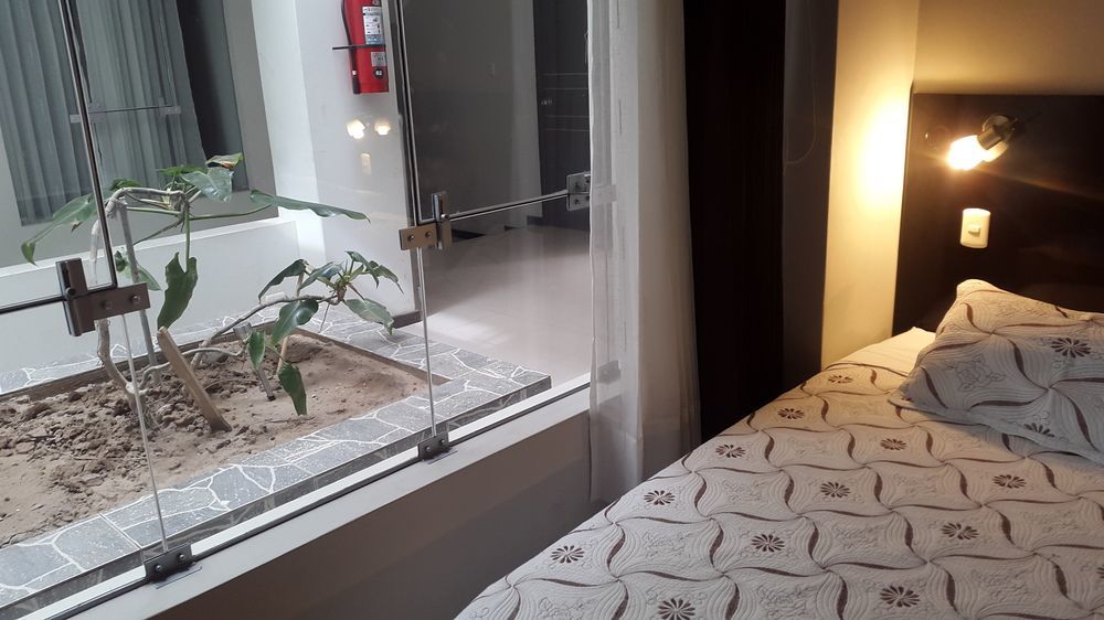 La Lisera Suite Residencial Tacna Eksteriør billede